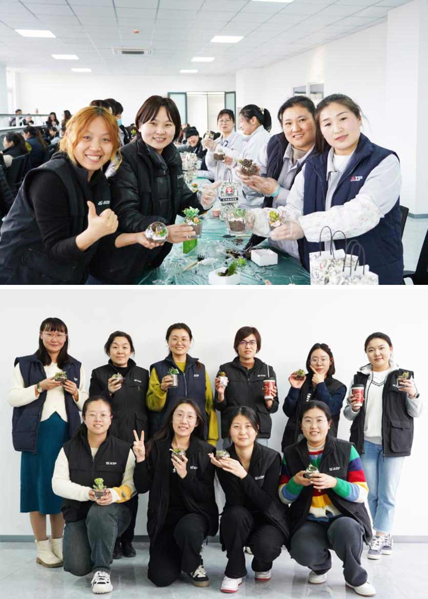 3.8 婦女節(jié)丨微景觀DIY，一起邂逅微世界里的春日—AIP艾普