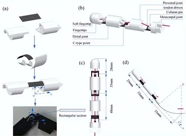 人形機(jī)器人電機(jī)有刷空心杯電機(jī)和無(wú)刷空心杯電機(jī)的區(qū)別—AIP艾普